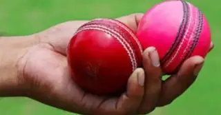 আলোক-স্বল্পতার সমাধানে গোলাপি বল; বদলাবে কি টেস্টের কৌশল?